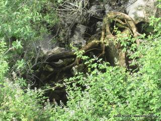 ndolito-24-05-2014 20-45-01